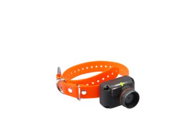 Dogtra 2500 T&B Replacement Receiver Orange